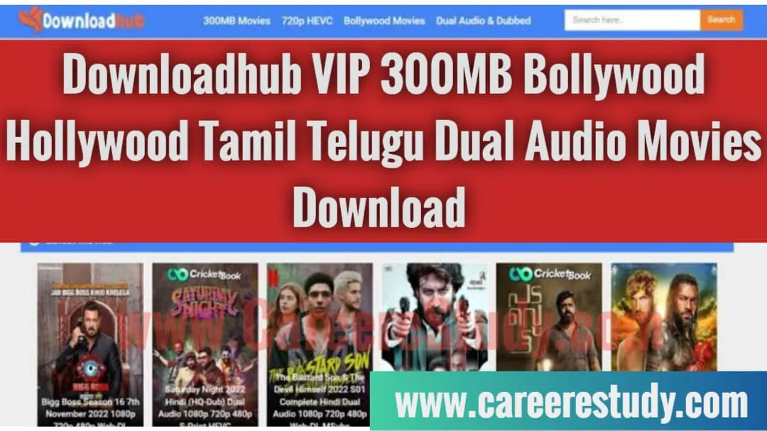 Downloadhub VIP 300MB Bollywood Hindi Dual Audio Movies Download HD