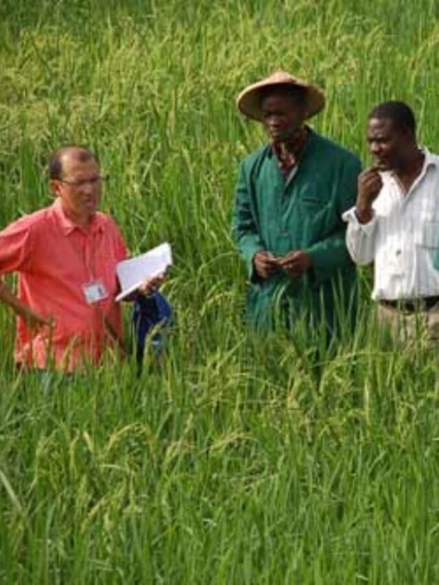MPESB Various Agriculture Vacancy 2023 Post Gramin Krishi Vistar Adhikari